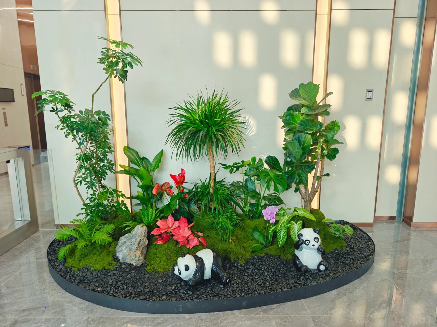 专业盆景出租，让宁波北仑焕发生机活力